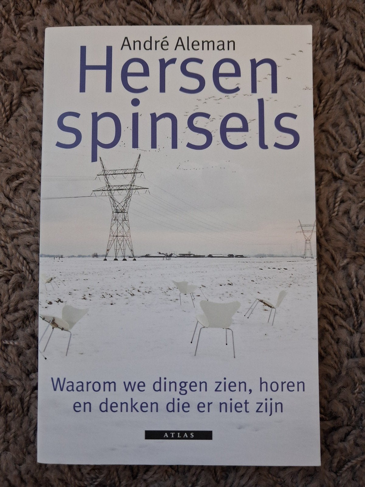 Hersenspinsels - André Aleman, Ophalen of Verzenden, Zo goed als nieuw, Klinische psychologie, André Aleman