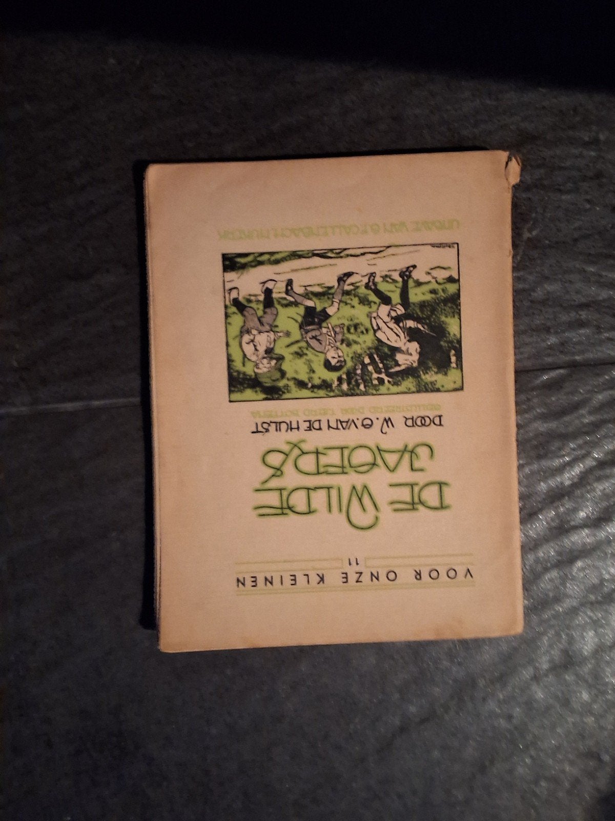 W. G. van de Hulst: De Wilde jagers., Ophalen of Verzenden, Gelezen, Fictie algemeen