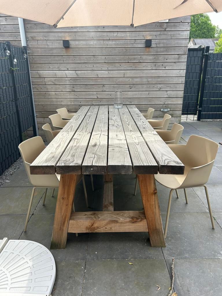 Tuintafel 300x100 met 8 stoelen, Ophalen, Gebruikt, Hout, 8 zitplaatsen