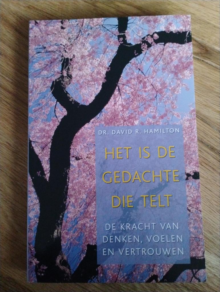 Het is de gedachte die telt - Dr. David R. Hamilton, Boeken, Ophalen of Verzenden, Zo goed als nieuw, Gezondheid en Conditie, Dr. David R. Hamilton