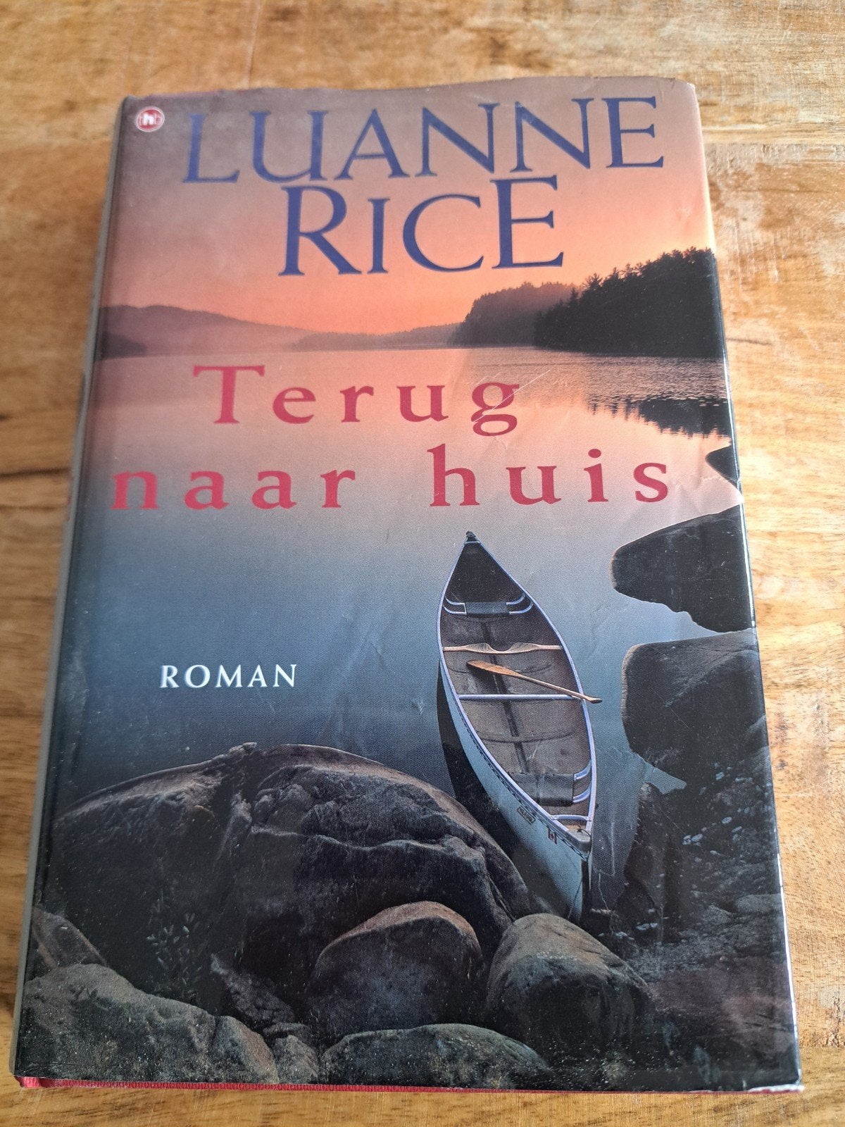 Luanne Rice - Terug naar huis (Roman), Boeken, Ophalen of Verzenden, Gelezen, Luanne Rice, Nederland