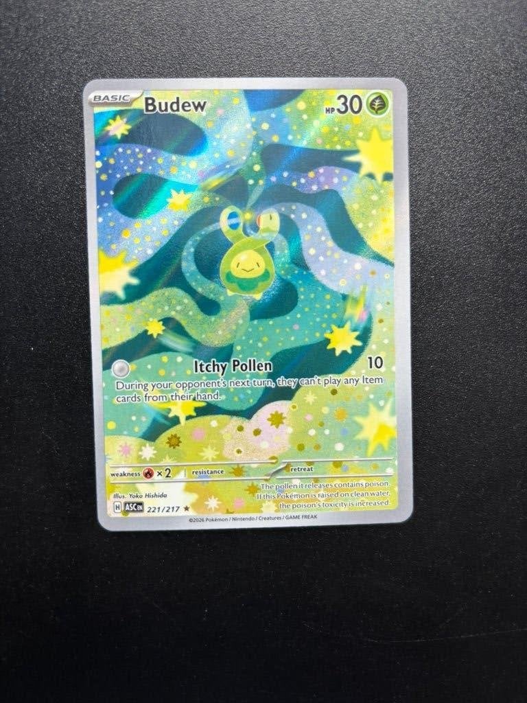 Budew (ASC 221), Ophalen of Verzenden, Zo goed als nieuw