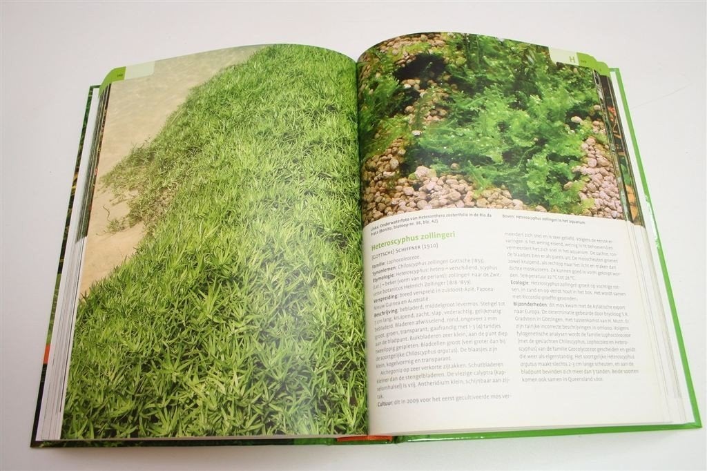 Aquariumplanten — Standaardwerk [3e Herziene Editie], Ophalen of Verzenden, Zo goed als nieuw, Vogels