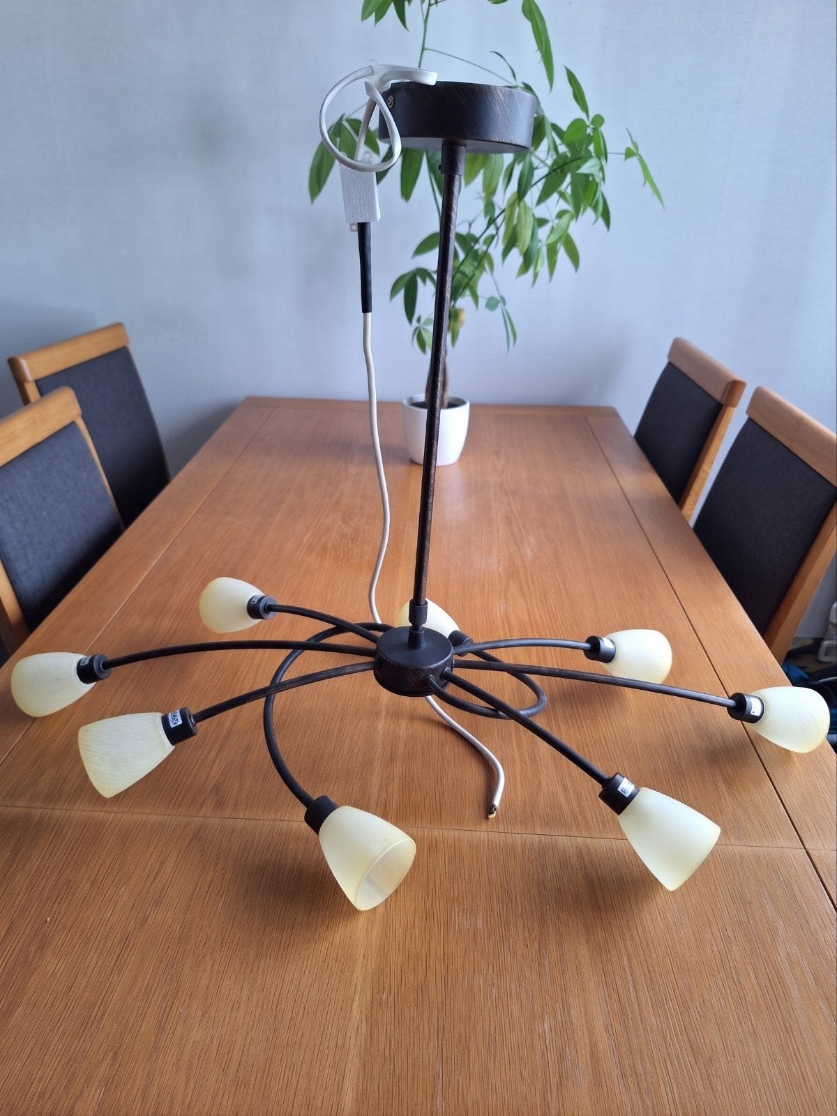 Kwantum hanglamp - donkerbrons met 8 lampjes, Ophalen, Zo goed als nieuw, Glas, G9