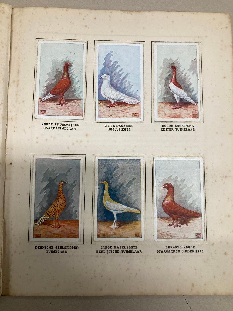 T.K. Onze duiven in woord en beeld Pleines Album IX, Ophalen of Verzenden, Gelezen, Prentenboek