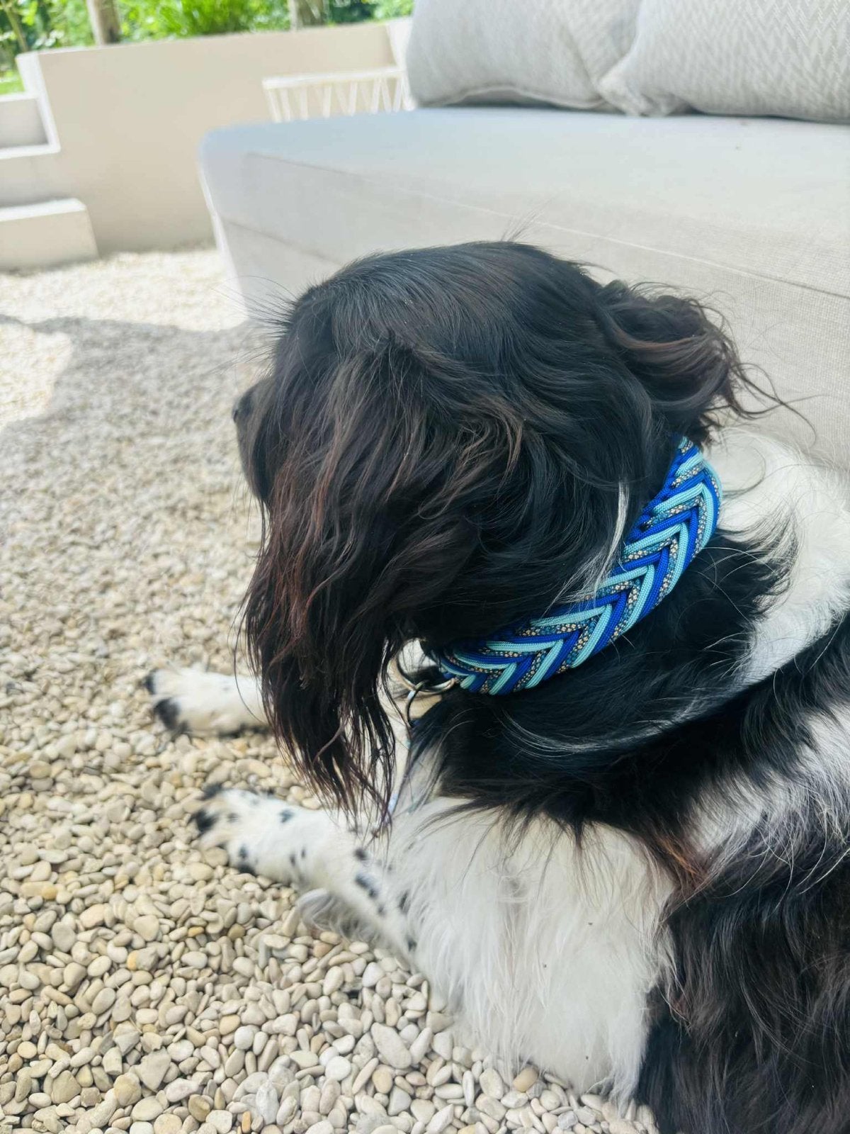 Handgemaakte honden halsbanden, Ophalen of Verzenden, Handgemaakt, Nieuw