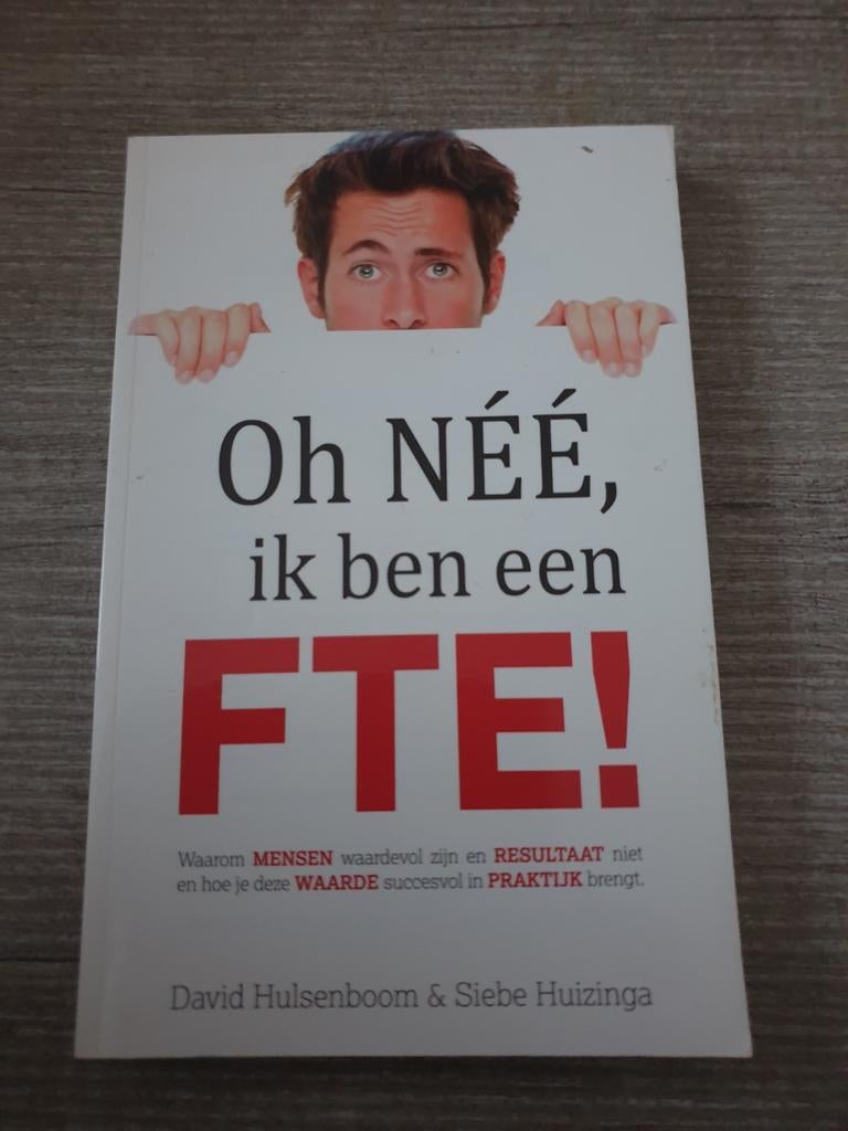 Oh NÉÉ, ik ben een FTE! - David Hulsenboom & Siebe Huizinga, Ophalen of Verzenden, Gelezen, David Hulsenboom & Siebe Huizinga