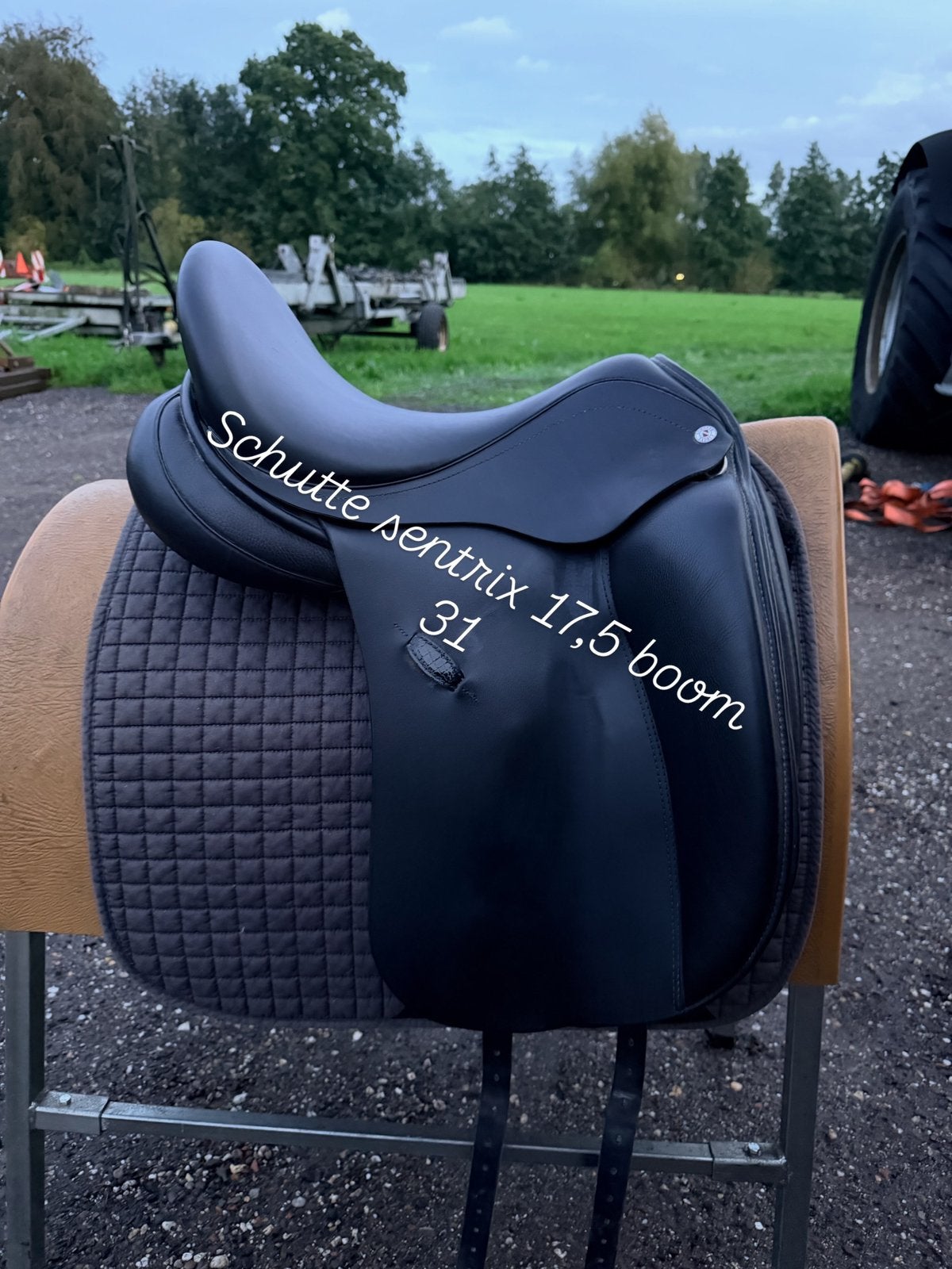 Frank baines, custom ,mcrider, km, schutte, Loxley, schutte, Ophalen of Verzenden, Zo goed als nieuw, Dressuur