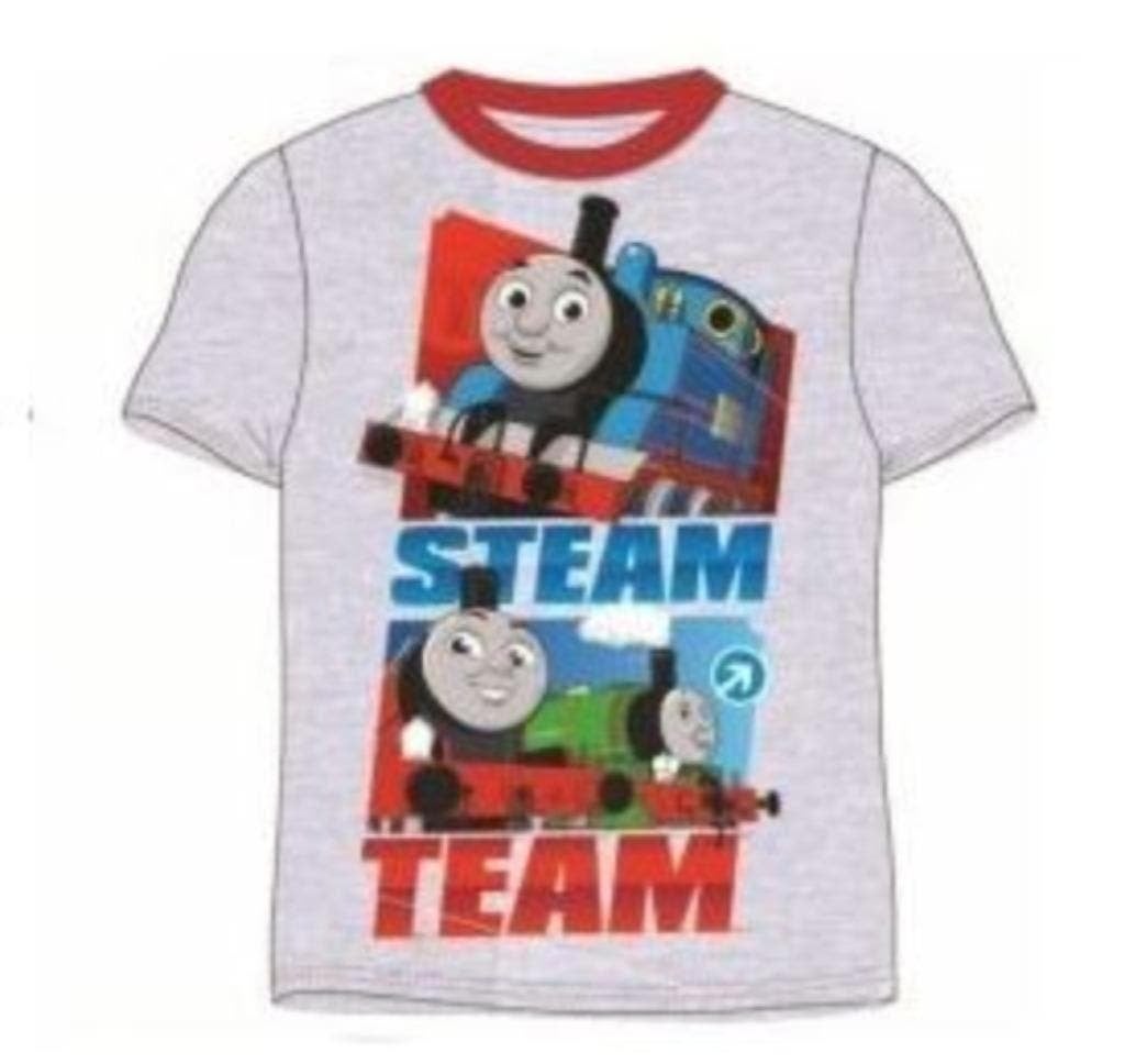 Thomas de Trein T-shirt Grijs - Mt 110 - 122 - 128 - Disney, Disney, Nieuw, Ophalen of Verzenden, Shirt of Longsleeve