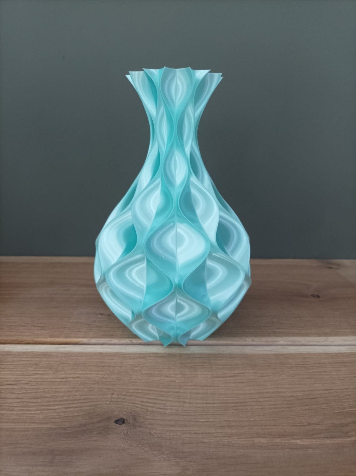 Vaas 3d leuk model, Huis en Inrichting, Woonaccessoires | Vazen, Kunststof, Meerkleurig, 3D-geprint, Nieuw