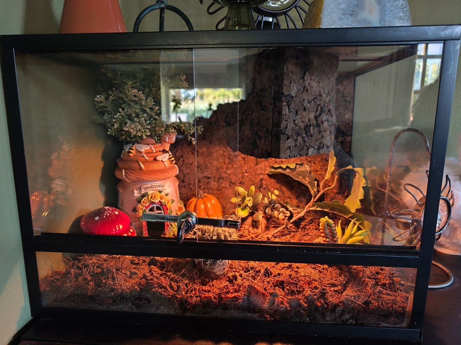 heterodon nasicus haakneusslang Hognose Snake photo 6