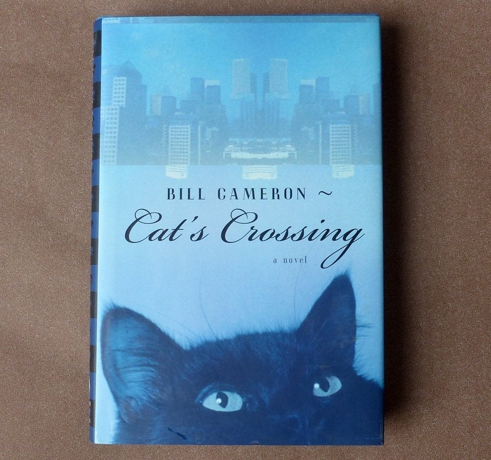 Bill Cameron - Cat's Crossing Engelstalige roman satire, Ophalen of Verzenden, Zo goed als nieuw, Bill Cameron