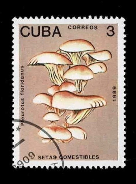 postzegel 2908 Cuba paddenstoel Oesterzwam, Ophalen of Verzenden, Gestempeld, Midden-Amerika