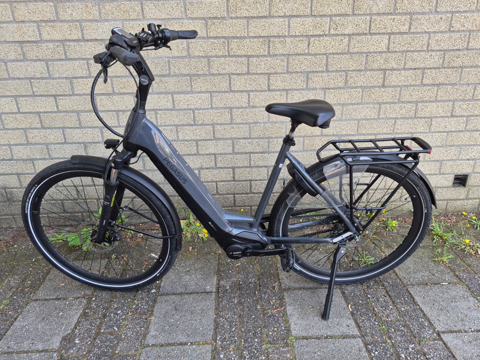 Pegasus Ravenna EVO 8F Belt E-bike - Bosch Active Line Plus, 55 tot 59 cm, Ophalen, Overige merken