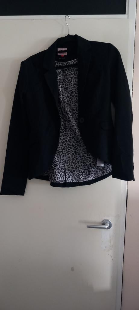 Tas met vesten en een blazer., Ophalen of Verzenden, Gedragen, Maat 38/40 (M), Overige kleuren