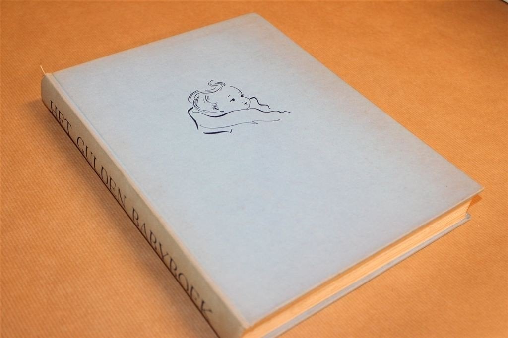 Het Gulden Baby Boek — Vintage Boek — Moeder & Kind 1960, Ophalen of Verzenden, Gelezen, Zwangerschap en Bevalling