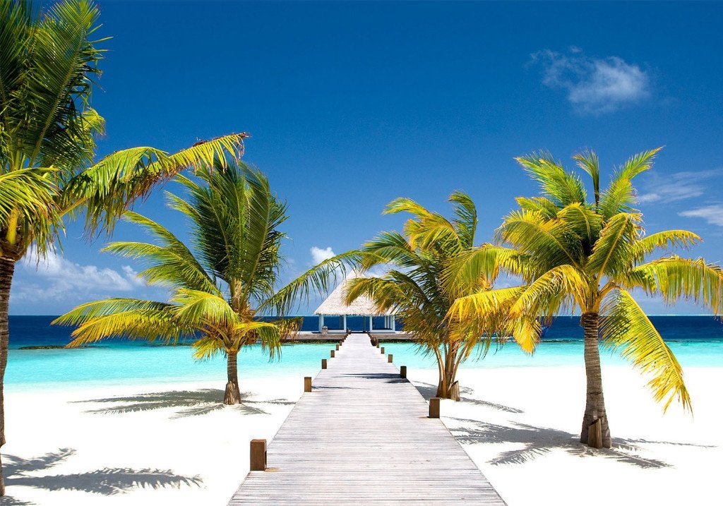 40 Palmboom Strand Paradijs Vlies Fotobehang 350x250 3 maten, Huis en Inrichting, Stoffering | Behang, Ophalen of Verzenden, Fotobehang