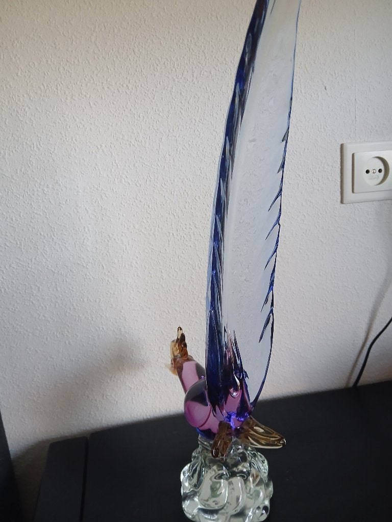 prachtige fazant van Murano, Ophalen