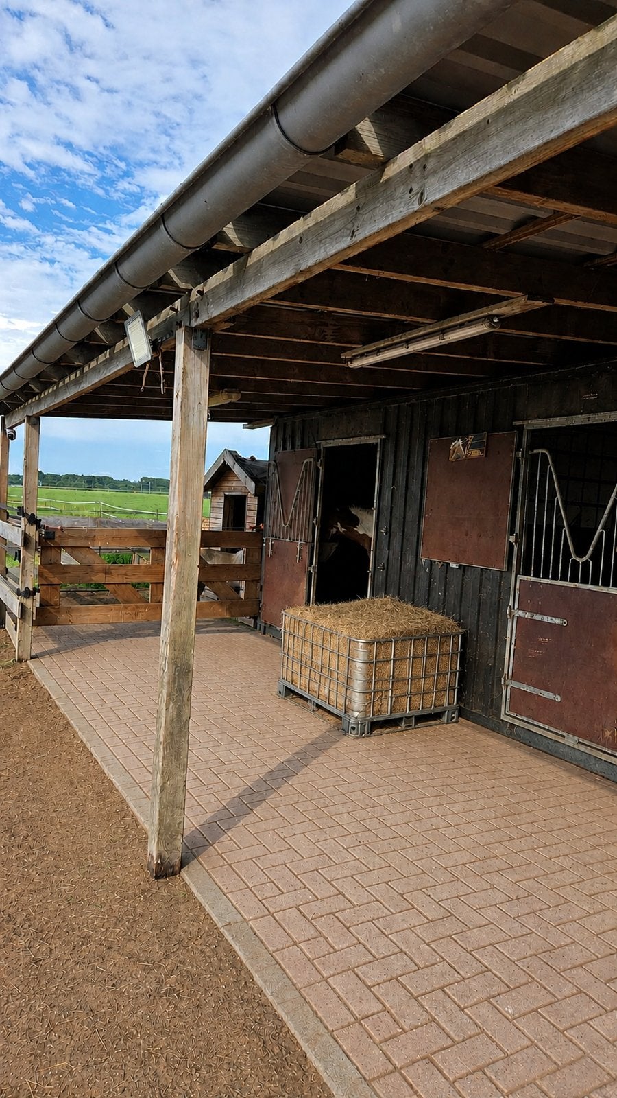 24/7 buiten stalling & weidegang, Dieren en Toebehoren, Stalling en Weidegang, Weidegang, 1 paard of pony