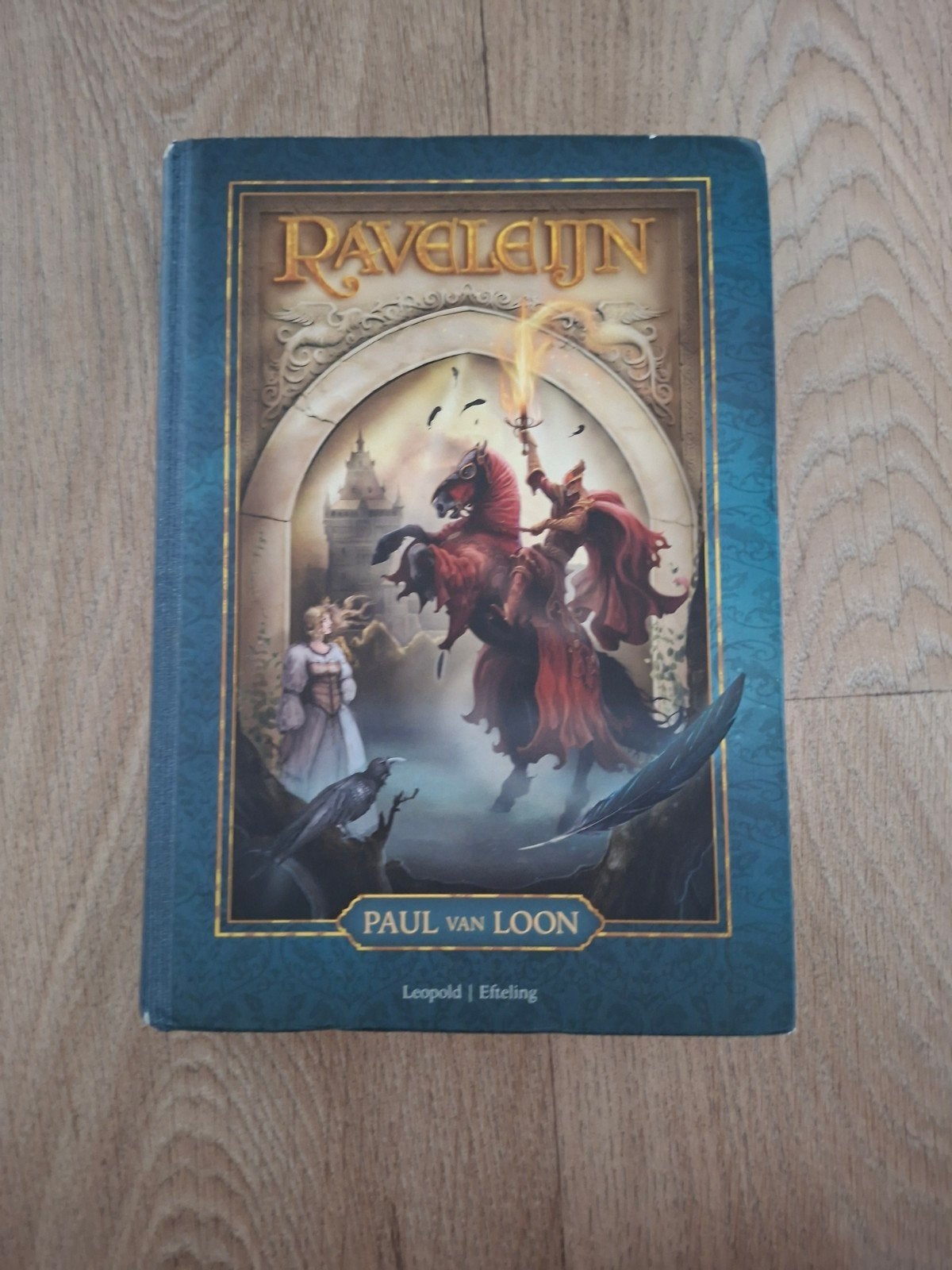 Raveleijn boek., Ophalen of Verzenden