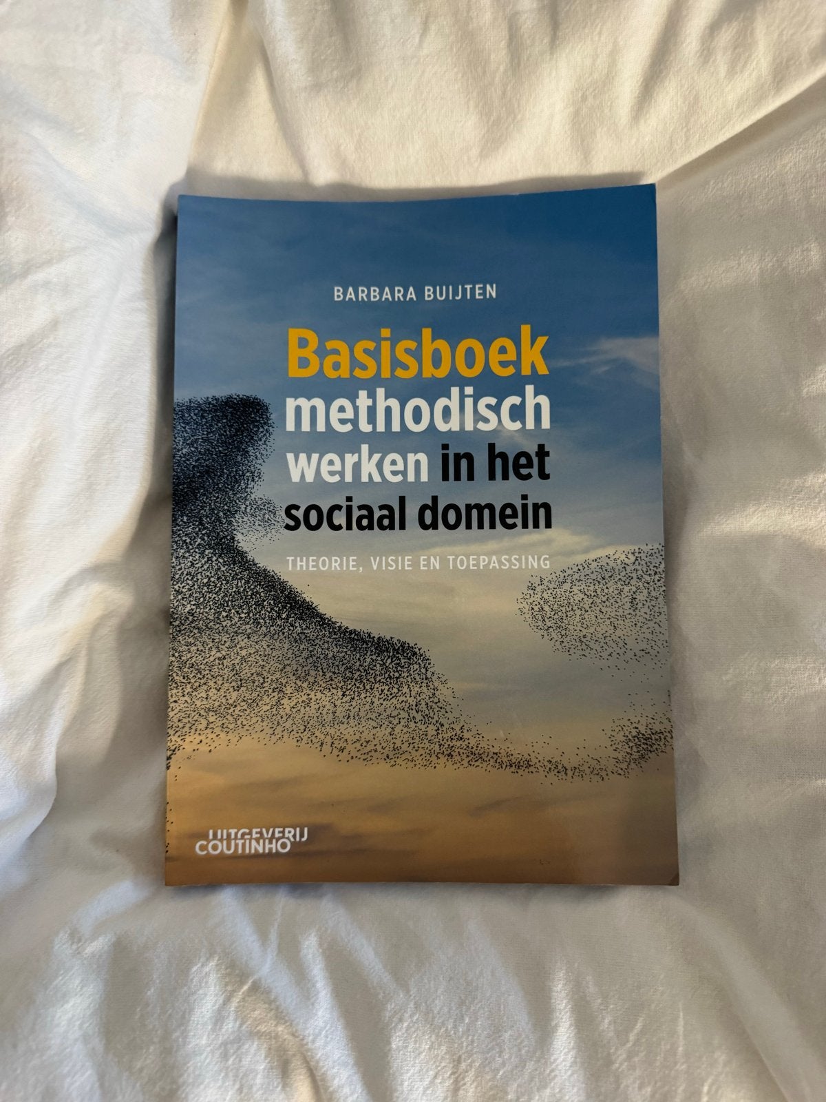 Basisboek methodisch werken in het sociaal domein, Ophalen of Verzenden, Gamma, Zo goed als nieuw, HBO