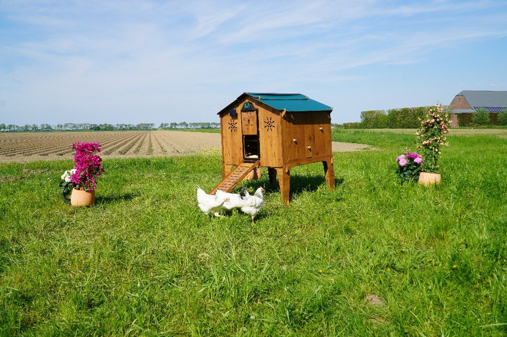 Trespa Kippenhok Cucciolotta | Duplex 2XL, Ophalen of Verzenden, Nieuw, Kippenhok of Kippenren