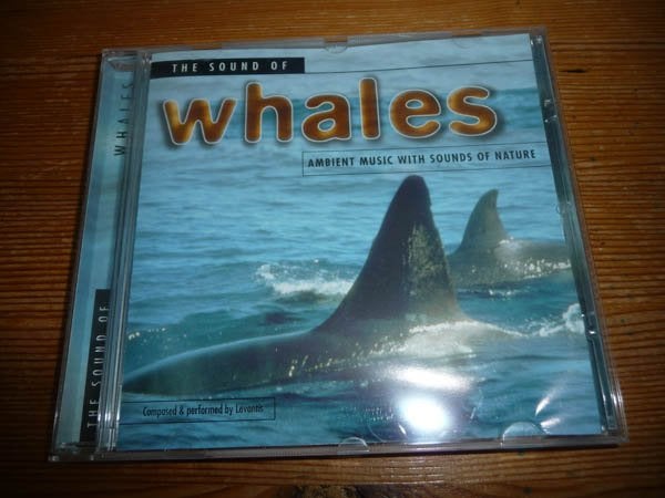 CD The sound of Whales, Ophalen of Verzenden