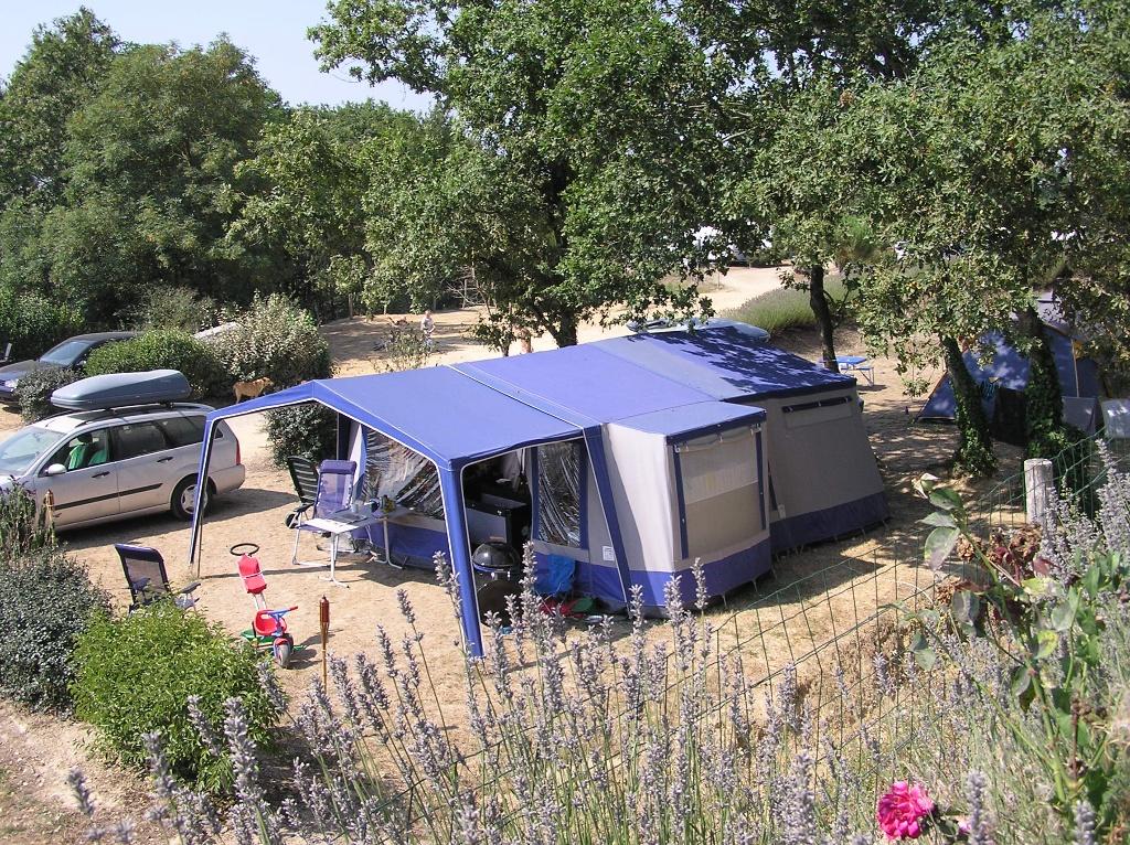 Roadmaster Family-S vouwagen, Blauw, Aanwezig, Tot en met 6, Ophalen