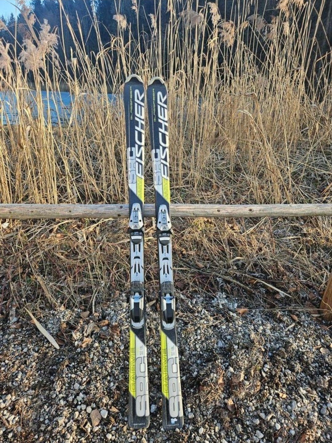 Fischer SRC Carve Glassfiber ski's 165 cm, Ophalen, 160 tot 180 cm, Carve, Ski's