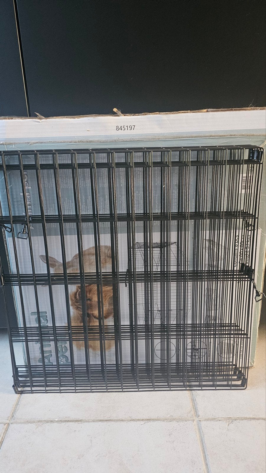 Animal Pen. Ren voor kleine dieren., Ophalen, Hond