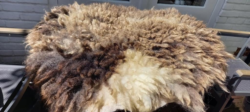gevilte vacht, Blauwe Texelaar schaap, wollen rug, 80x110 cm, Verzenden, Nieuw