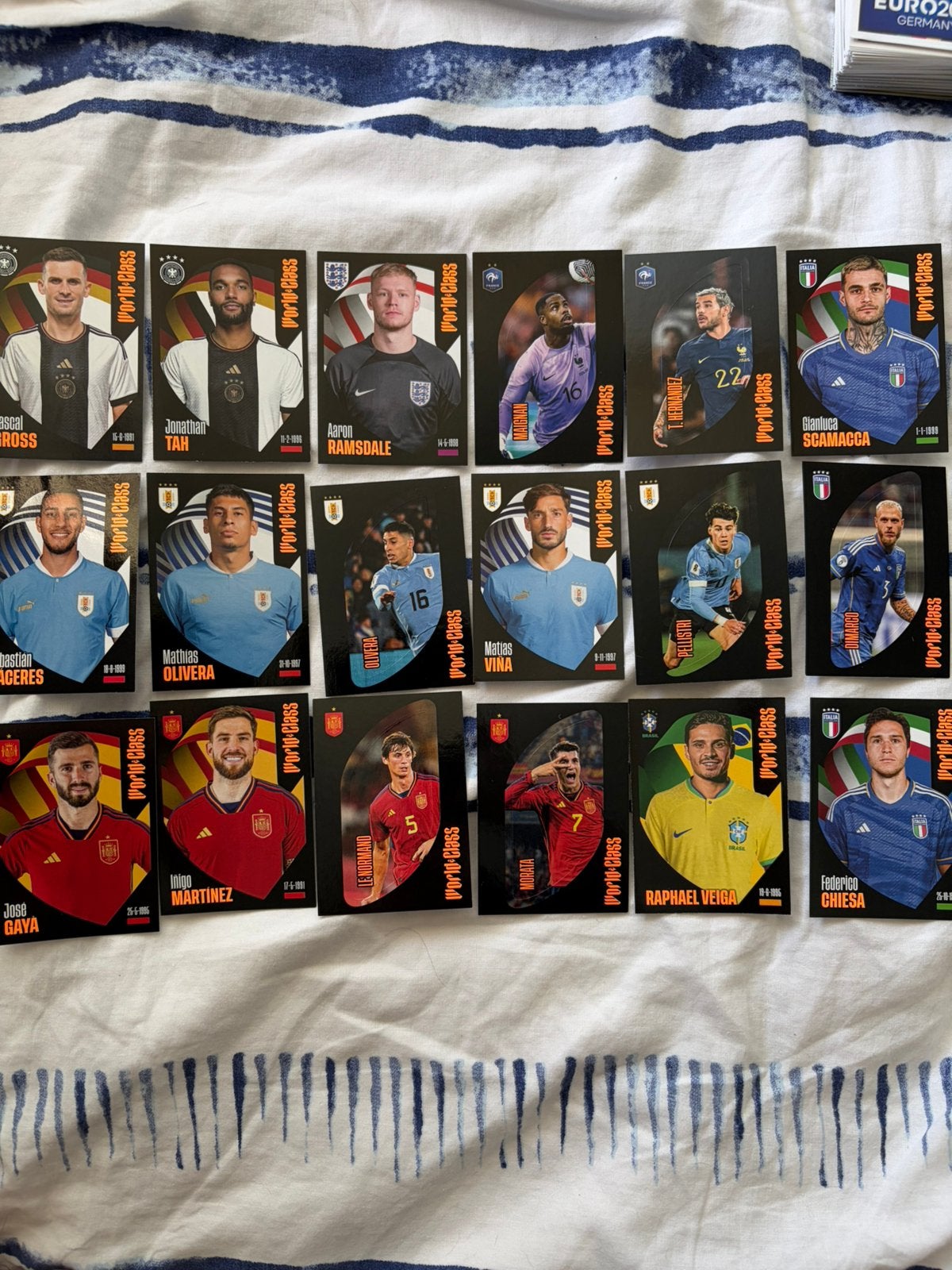 World Class stickers Panini, Ophalen of Verzenden, Zo goed als nieuw