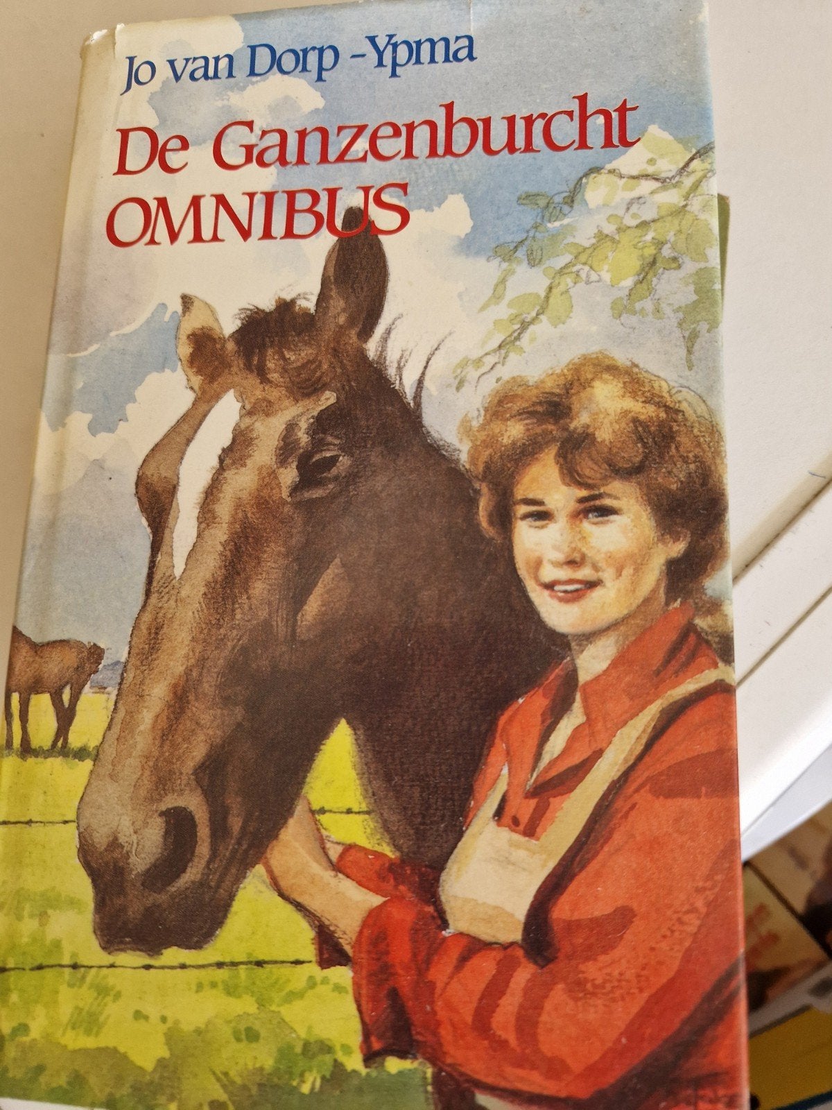 De Ganzenburcht Omnibus - Jo van Dorp-Ypma, Boeken, Ophalen of Verzenden, Gelezen, Jo van Dorp-Ypma, Nederland