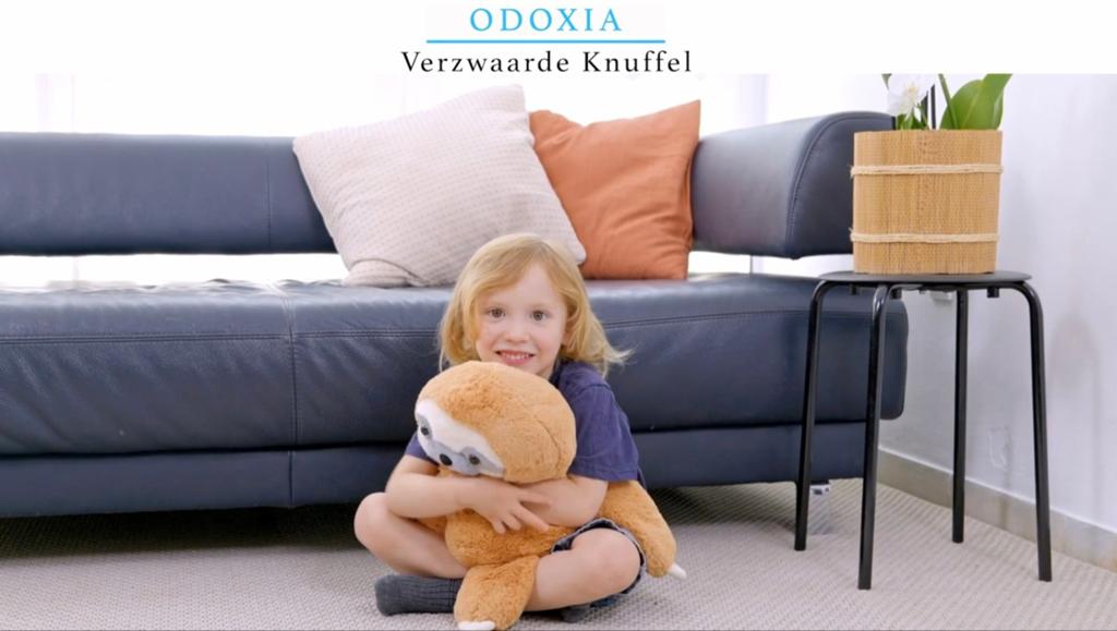 Verzwarings knuffel Luiaard 2,3 kg NIEUW, Ophalen, Nieuw, Overige typen