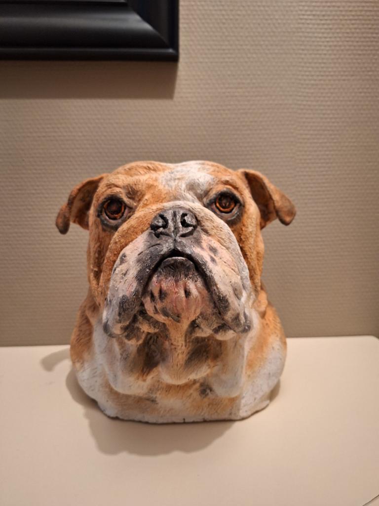 Beeld Engelse Bulldog, Ophalen of Verzenden