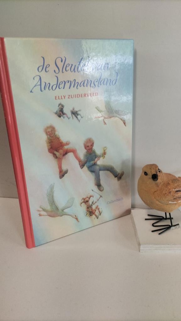 Zuiderveld, Elly; De Sleutel van Andermansland, Ophalen of Verzenden, Gelezen, Christendom | Protestants
