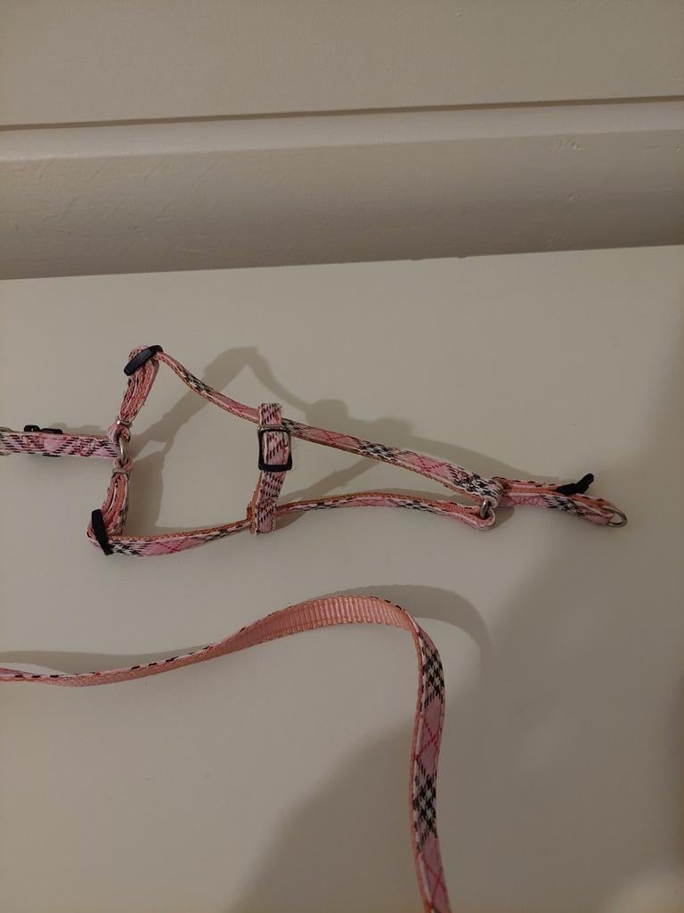 Hondentuigje en riem met roze ruitje, Ophalen of Verzenden, Zo goed als nieuw, Hondenriem