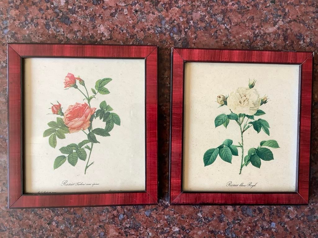 Set van 2 ingelijste botanische rozenprints, Redoute., Ophalen of Verzenden