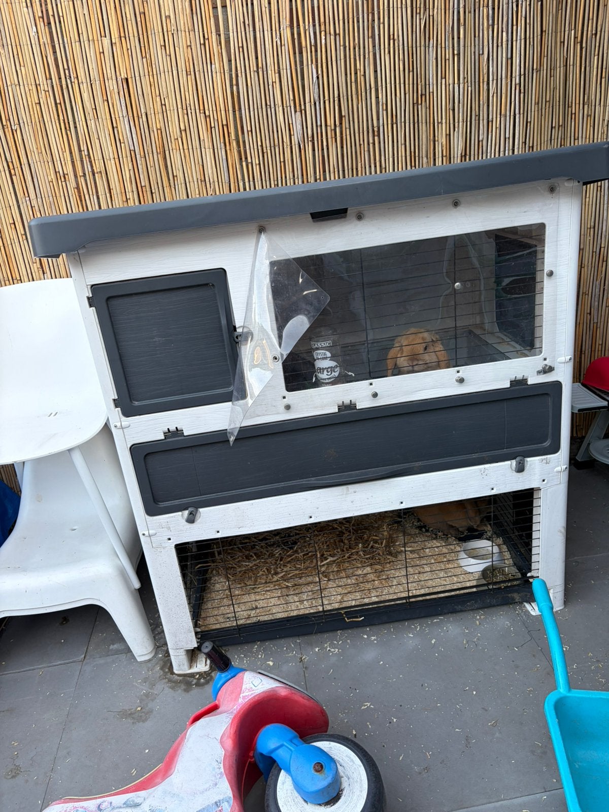Konijnen + konijnenhok en toebehoren, 110 cm of meer, Zo goed als nieuw, Hok, Ophalen