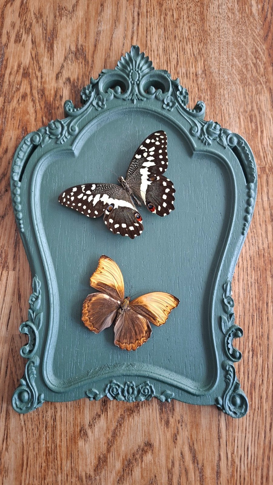 Vintage wandbord met vlinders, Ophalen of Verzenden, Zo goed als nieuw