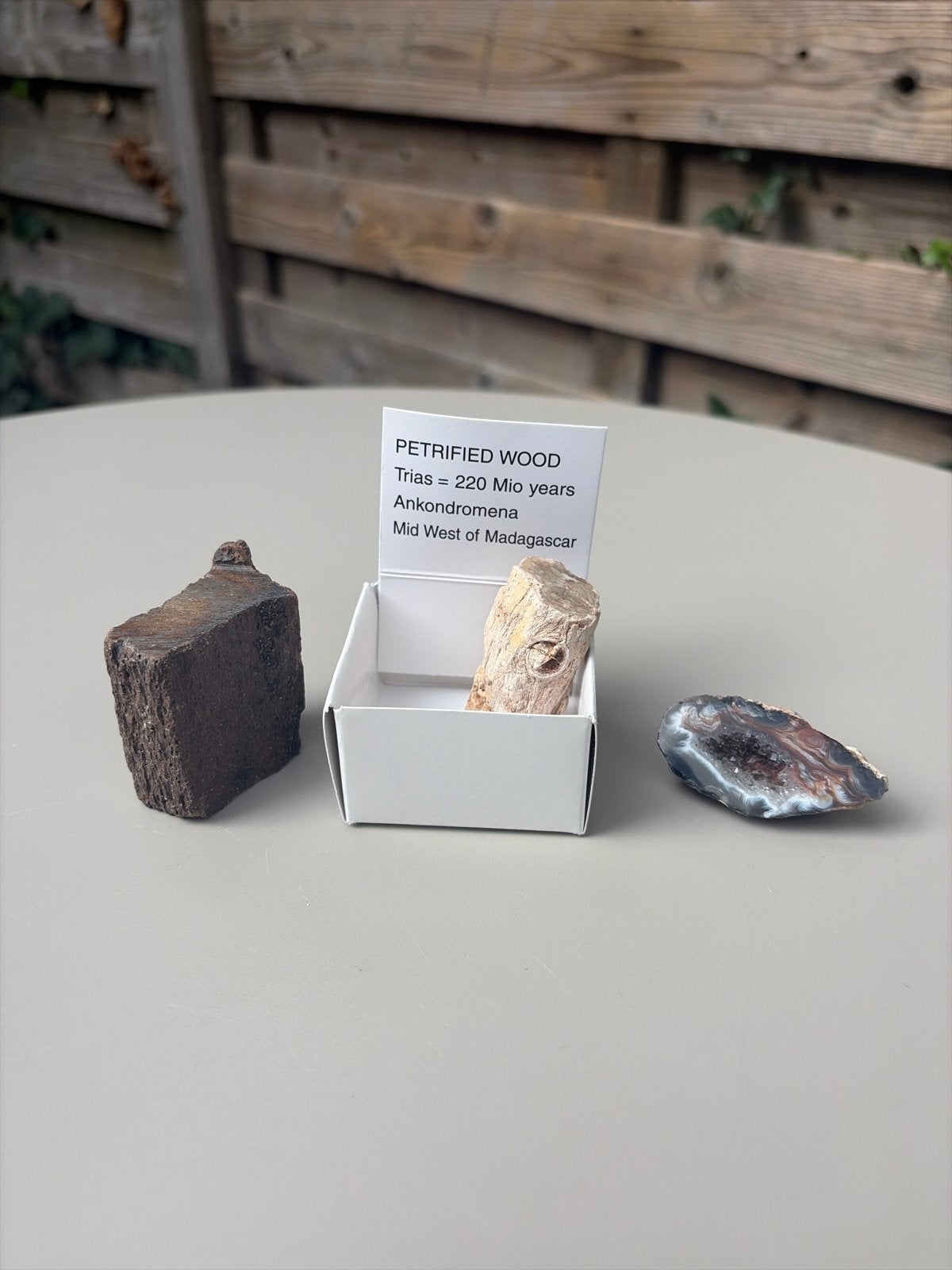 Versteend Hout (220 miljoen jaar) & Agaat Geode, Verzamelen, Ophalen of Verzenden, Fossiel