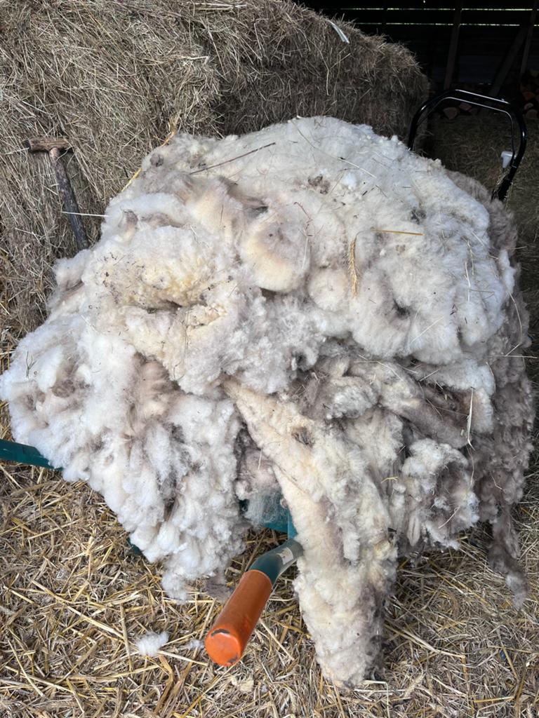 3 schapen vachten, Ophalen, Gebruikt