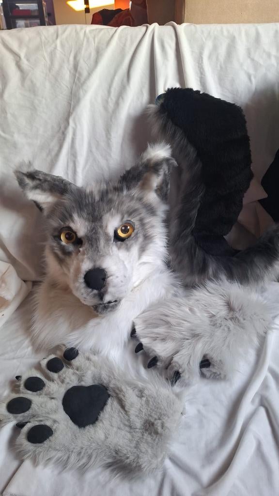 Realistic wolf fursuit mini partial, Ophalen of Verzenden, Zo goed als nieuw, Handschoenen, Hoed of Pet