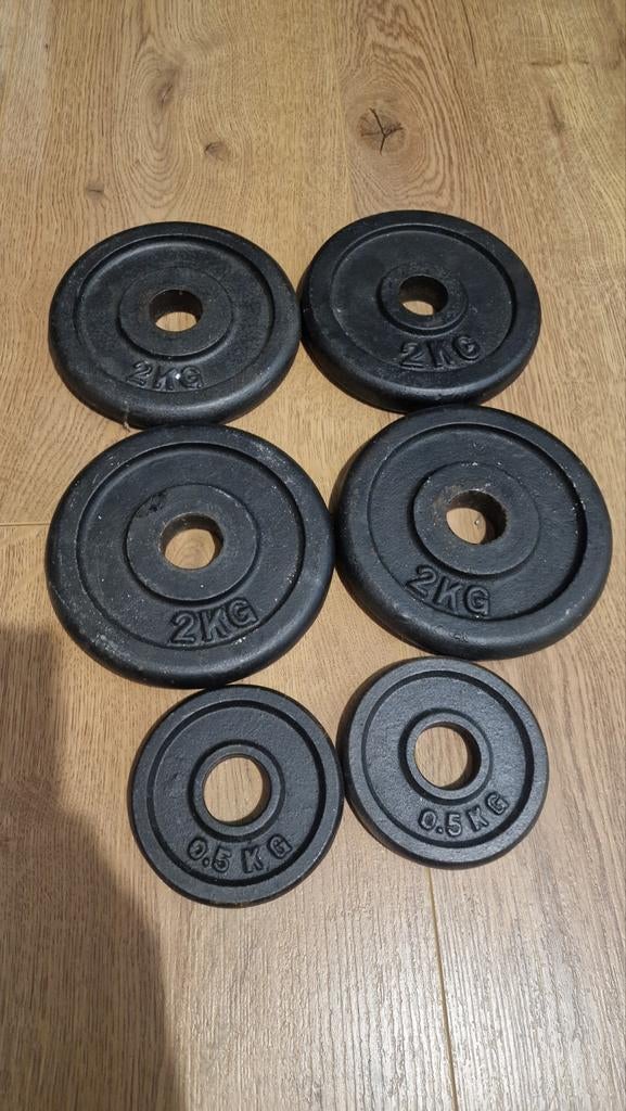 Gietijzeren Halterschijven Set 9kg - 30mm boring, Ophalen