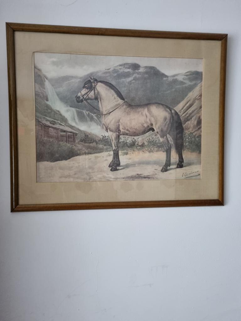 Antieke litho "Het Noorweegsche Paard" - Otto Eerelman (1898, Ophalen of Verzenden