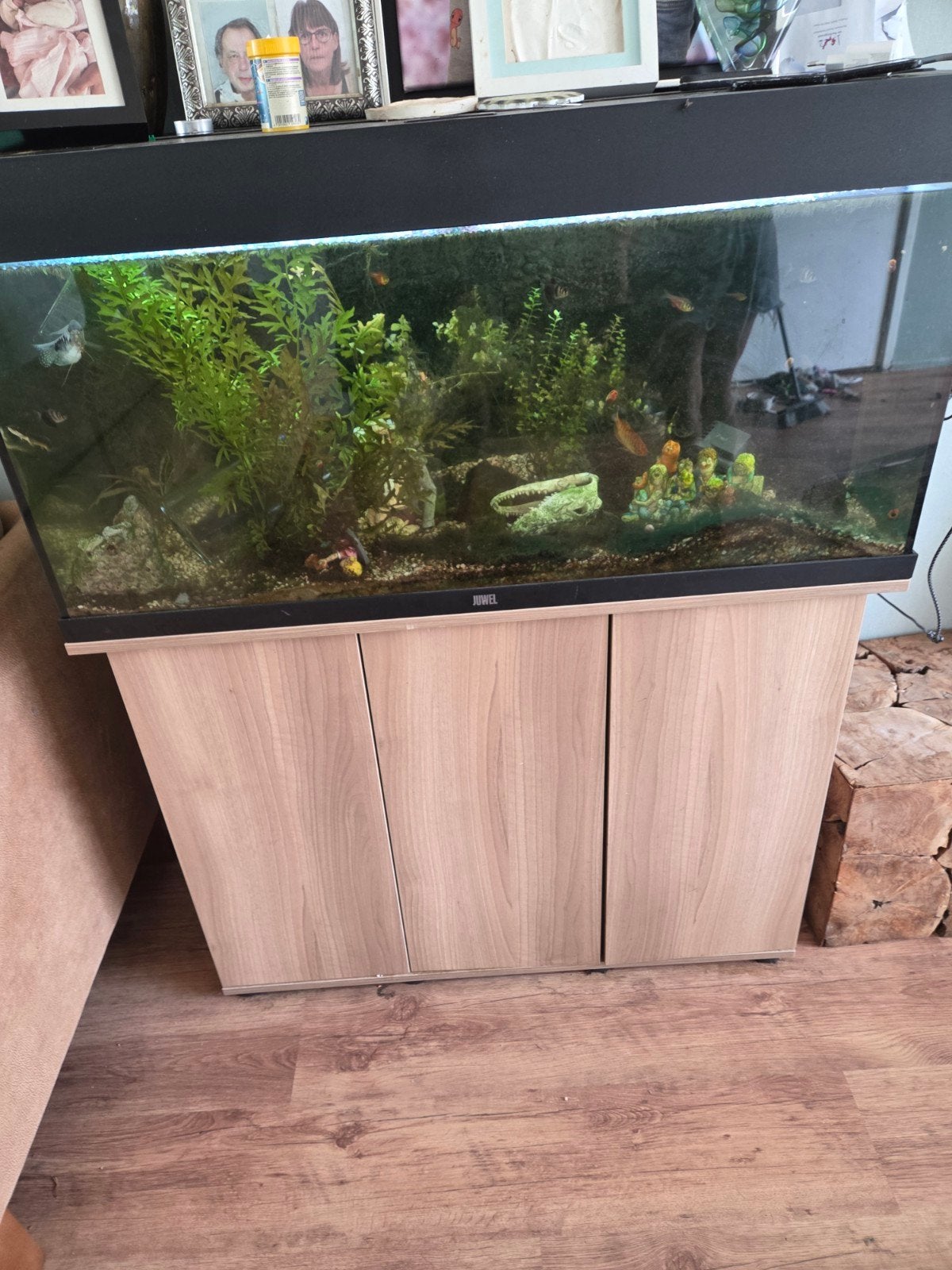 aquarium mwt vissen, Ophalen of Verzenden, Gevuld zoetwateraquarium