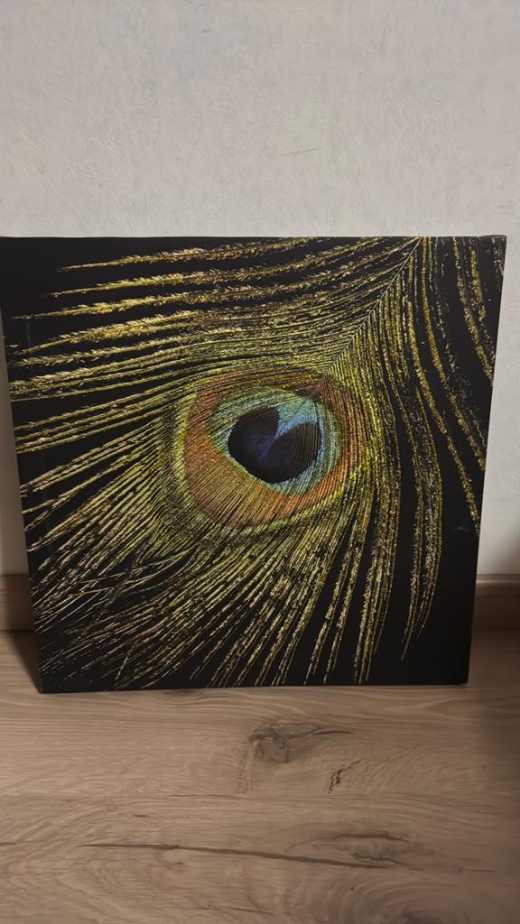 Canvas schilderij pauwenveer 38x38cm, Ophalen