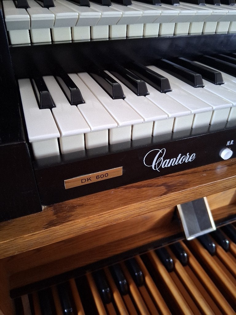 Orgel Domus DK 600, Muziek en Instrumenten, Ophalen, Gebruikt, 2 klavieren, Orgel