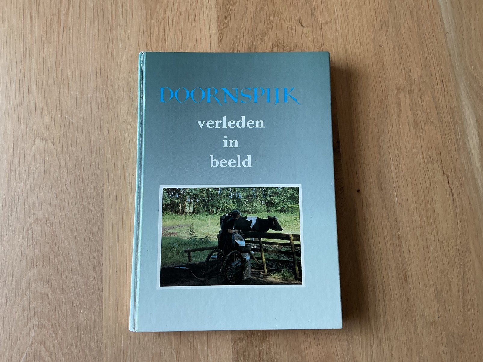 historische fotoboek "Doornspijk verleden in beeld"deel 1, Boeken, Geschiedenis | Stad en Regio, Ophalen of Verzenden, 20e eeuw of later