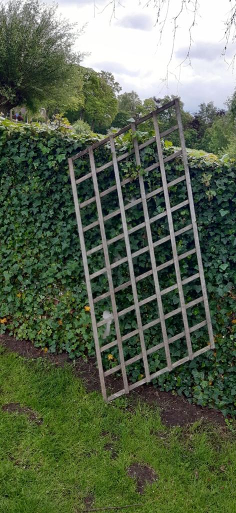 Wandrek hardhout gevel, Ophalen, Hout, Tuinhek